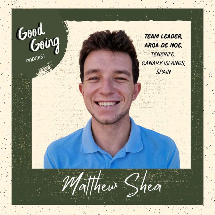 cover art for Matthew Shea: El Arca de Noé