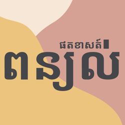 cover art for ពន្យល់ផតខាសត៍