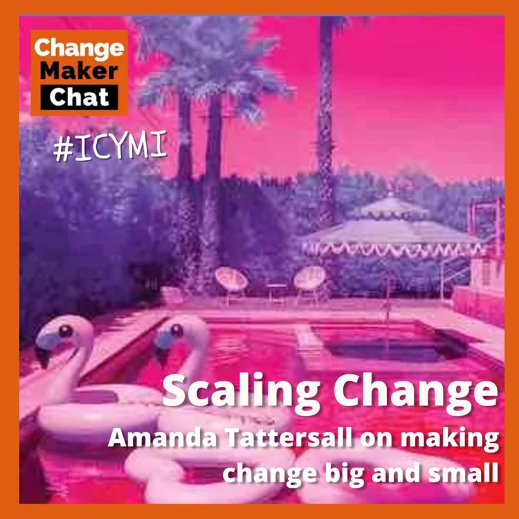 cover art for Scaling Change - Amanda Tattersall on making change big and small #ICYMI