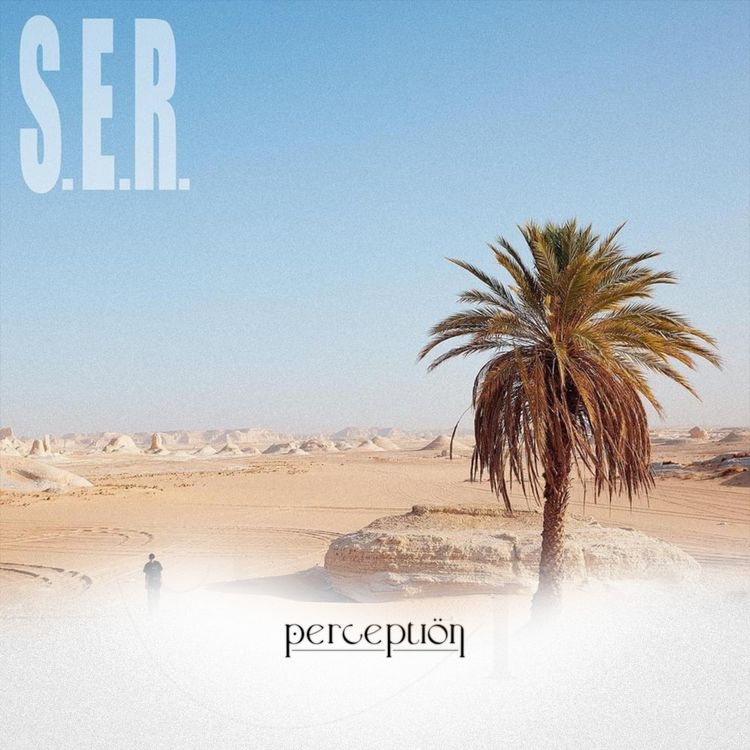 cover art for #11.2 S.E.R. : dodo/20 ?!