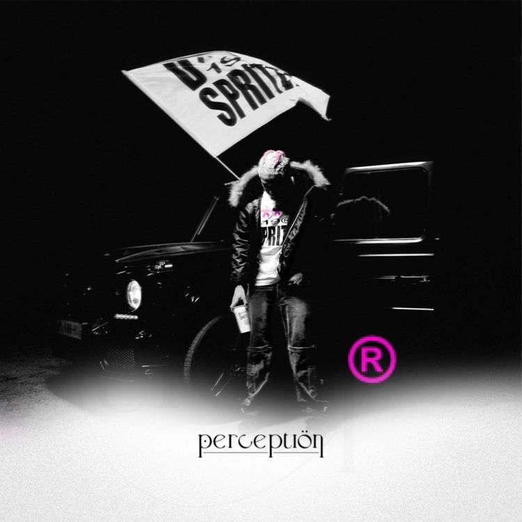 cover art for #20.2 Zoomy a-t-il trouvé la recette ?