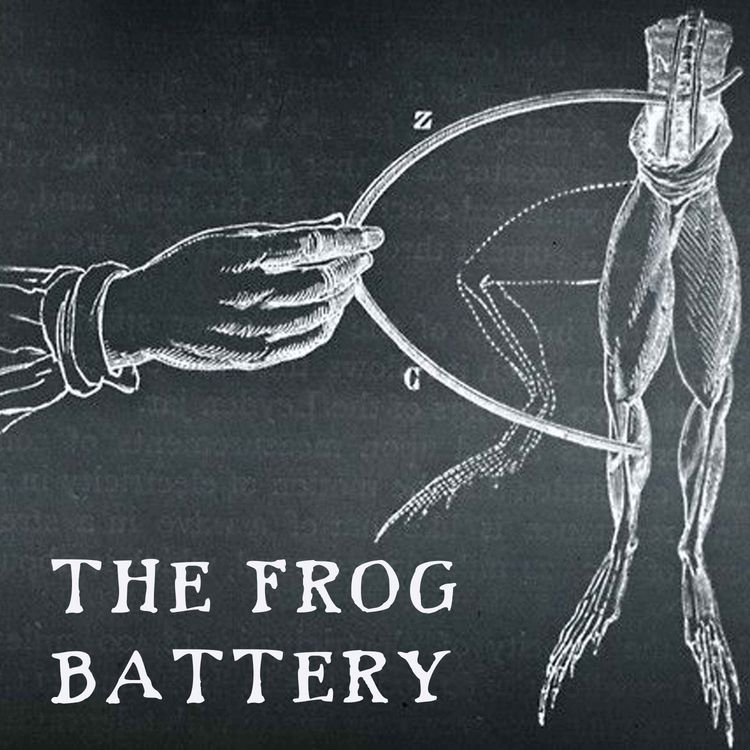 cover art for The Frog Battery - Episode One 