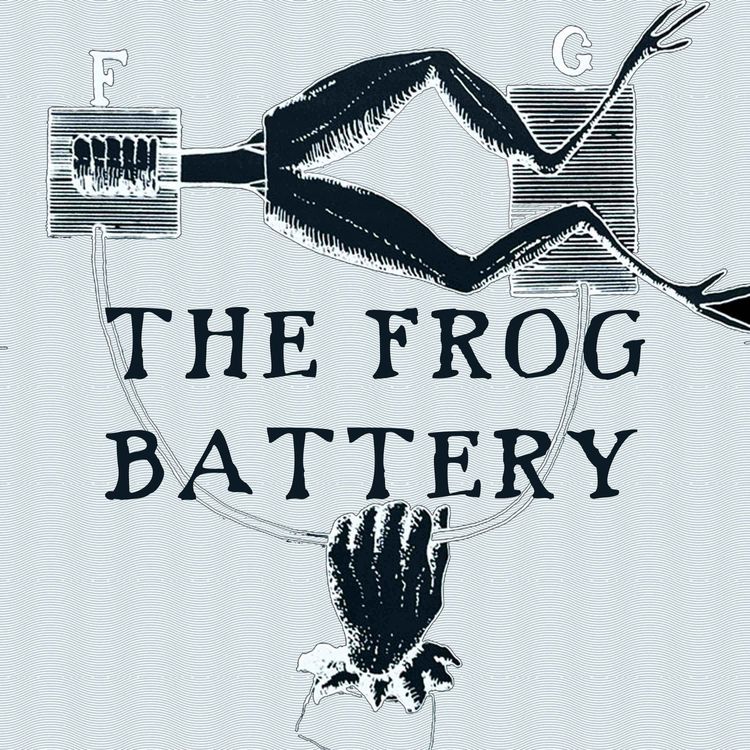 cover art for The Frog Battery - Episode Four