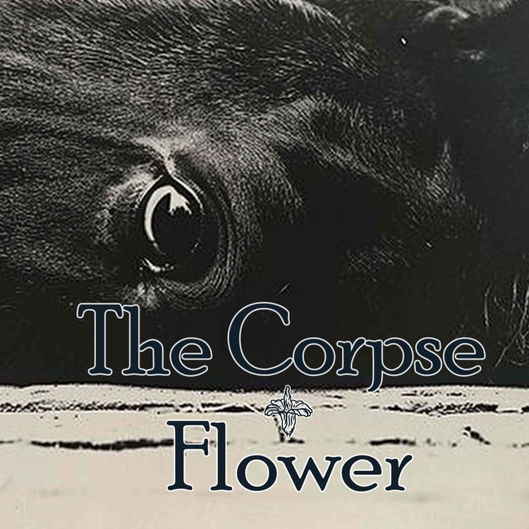 cover art for The Corpse Flower - Episode One 