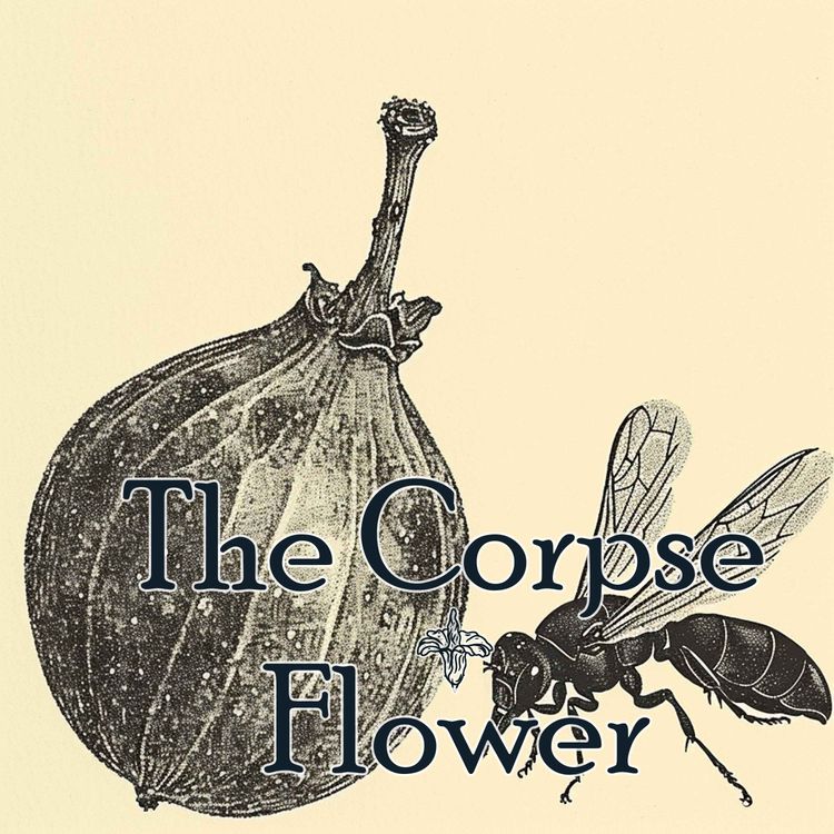 cover art for The Corpse Flower - Episode Two 