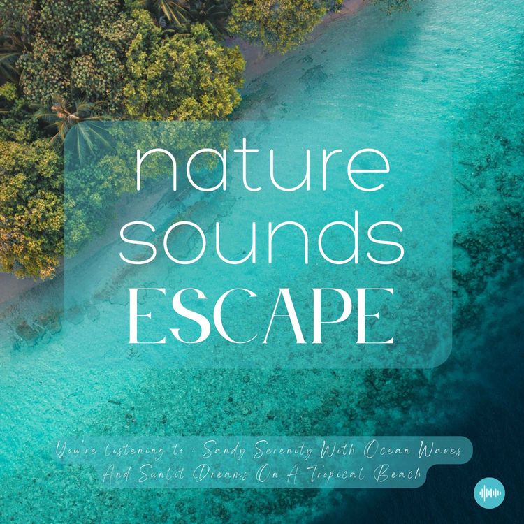 cover art for Sandy Serenity With Ocean Waves And Sunlit Dreams On A Tropical Beach | Nature Sounds For Sleep, Meditation, Relaxation, Study Or Focus | Sleep Sounds, Sleep Fast, Insomnia, Ocean Sounds, Beach, Storm, Rain, Zen, White Noise For Sleep, Musique Pour Dormir