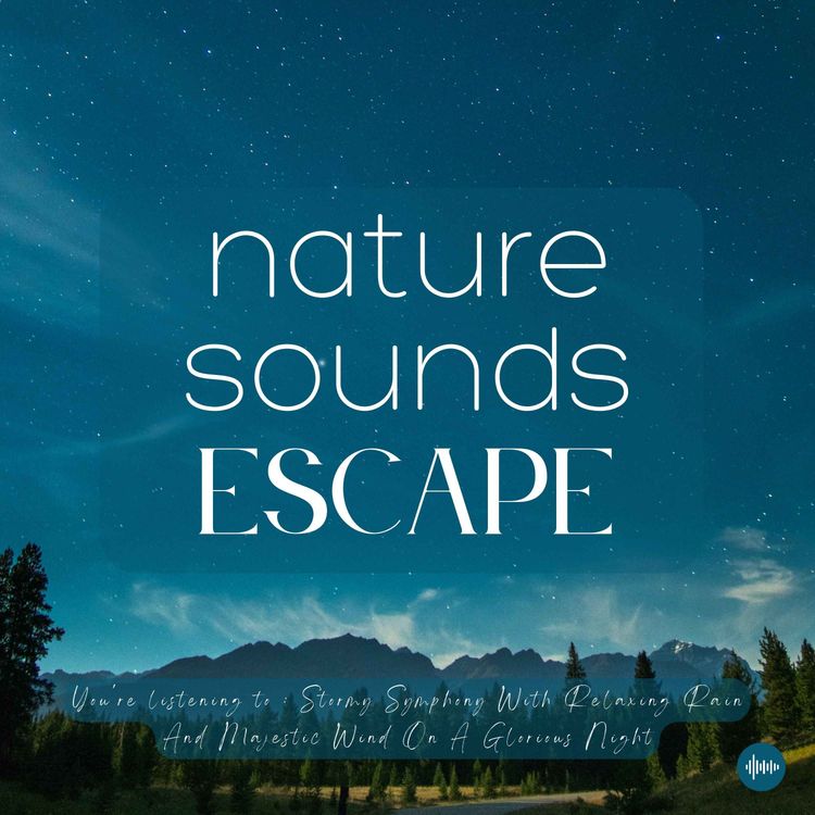 cover art for Stormy Symphony With Relaxing Rain & Majestic Wind On A Peaceful Night | Nature Sounds For Sleep, Meditation, Relaxation, Study Or Focus | Sleep Sounds, Sleep Fast, Nature Music For Sleep, Insomnia, Rain Sounds, Gentle Rainstorm, Raindrops, White Noise