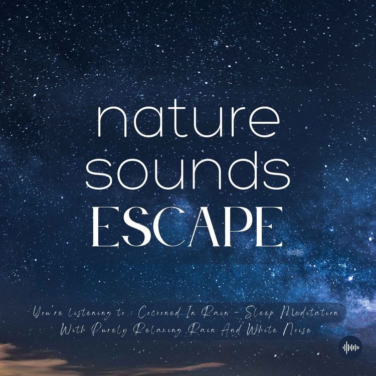cover art for Sleep Meditation With Purely Relaxing Rain & White Noise | Relaxing Nature Sounds For Sleep, Meditation, Relaxation Or Focus | Sleep Sounds, Sleep Music, Raindrops, Rainfall, Wind, Storm, Study Music, Relieve Stress, Insomnia, Sons Pour Dormir, Pluie