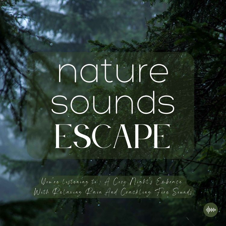 cover art for A Cozy Night's Embrace With Relaxing Rain and Crackling Fire Sounds | Nature Sounds For Sleep, Meditation, Relaxation Or Focus | Sleep Music, Sleep Sounds, Study Music, Sleep Fast, White Noise For Sleep, Rainfall, ASMR, Musique Pour Dormir