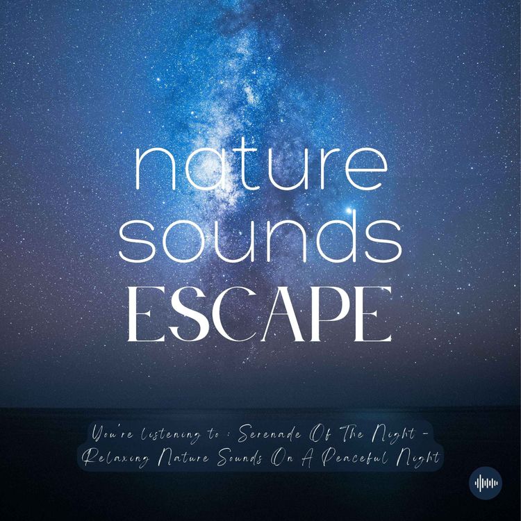 cover art for Serenade Of The Night | Relaxing Nature Sounds Under The Moonlight | Relaxing Nature Sounds For Sleep, Meditation, Relaxation, Studying Or Focus | Sleep Music, Sleep Sounds, Owl, Study Music, Zen, Sleep Fast, White Noise, Música Relajante Para Dormir