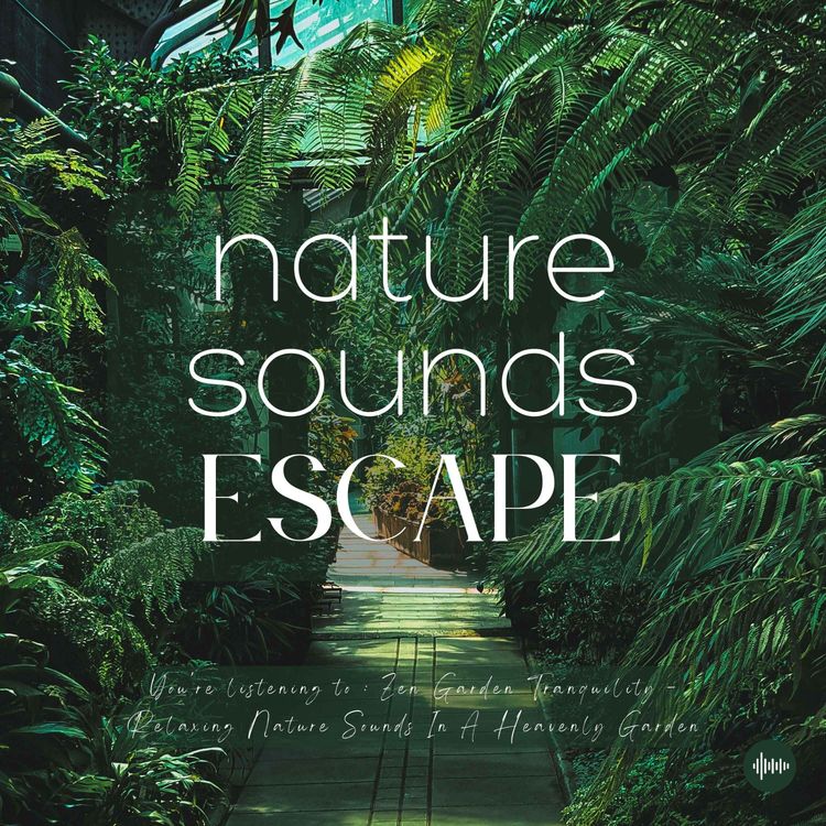 cover art for Zen Garden Tranquility | Relaxing Nature Sounds For Sleep, Meditation, Relaxation, Studying Or Focus | Sleep Music, Sleep Sounds, Study Music, Zen, Sleep Fast, White Noise, Fountain, Birds, Rustling Leaves, Rain, Música Relajante Para Dormir