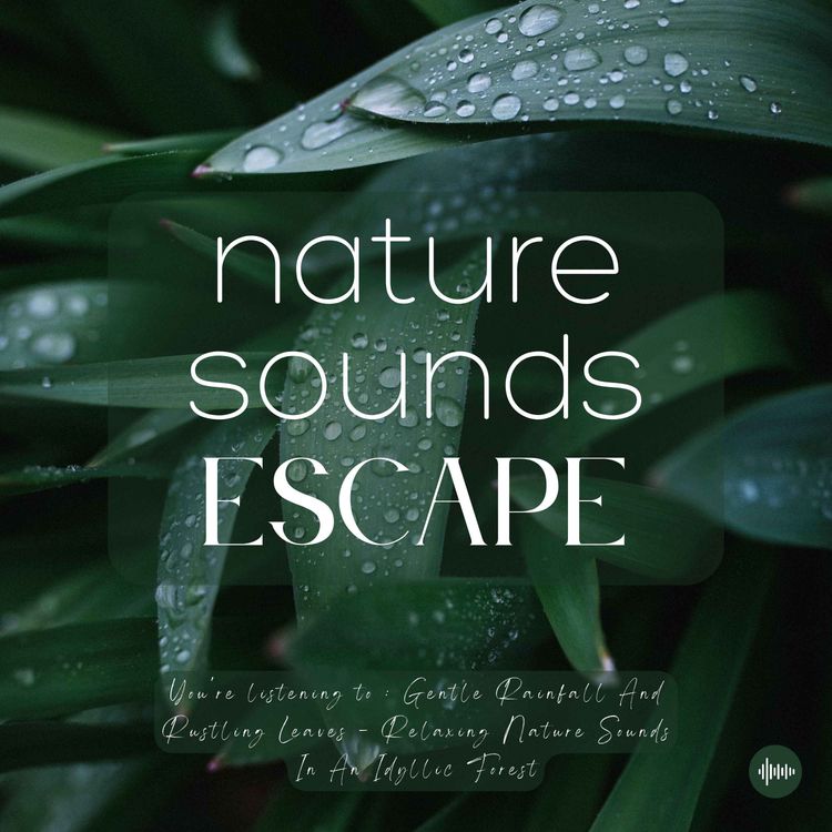 cover art for Gentle Rain & Rustling Leaves | Relaxing Nature Sounds For Sleep, Meditation, Relaxation, Studying Or Focus | Sleep Music, Sleep Sounds, Study Music, Zen, Sleep Fast, White Noise, Fountain, Rainfall, Lluvia, Música Relajante Para Dormir, Sonidos Naturales