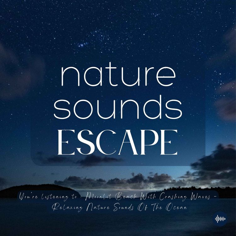 cover art for Moonlit Beach With Crashing Waves | Relaxing Nature Sounds Of The Ocean | Relaxing Nature Sounds For Sleep, Meditation, Relaxation, Studying Or Focus | Sleep Music, Sleep Sounds, Study Music, Zen, Sleep Fast, White Noise, Música Relajante Para Dormir
