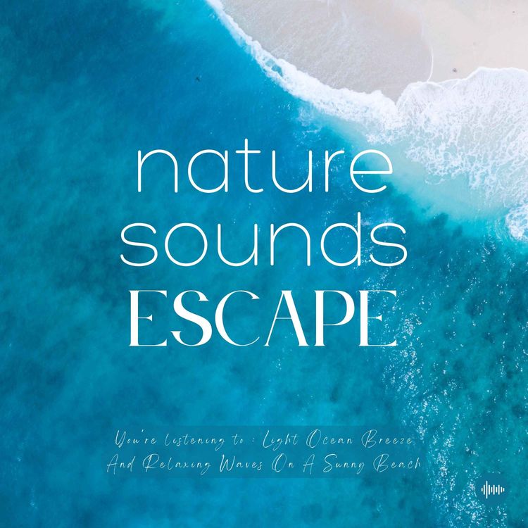 cover art for Light Ocean Breeze & Relaxing Waves | Relaxing Nature Sounds For Sleep, Meditation, Relaxation, Studying Or Focus | Sleep Music, Sleep Sounds, Study Music, Zen, Sleep Fast, White Noise, Ocean Waves, Sounds Of Nature, Música Relajante Para Dormir