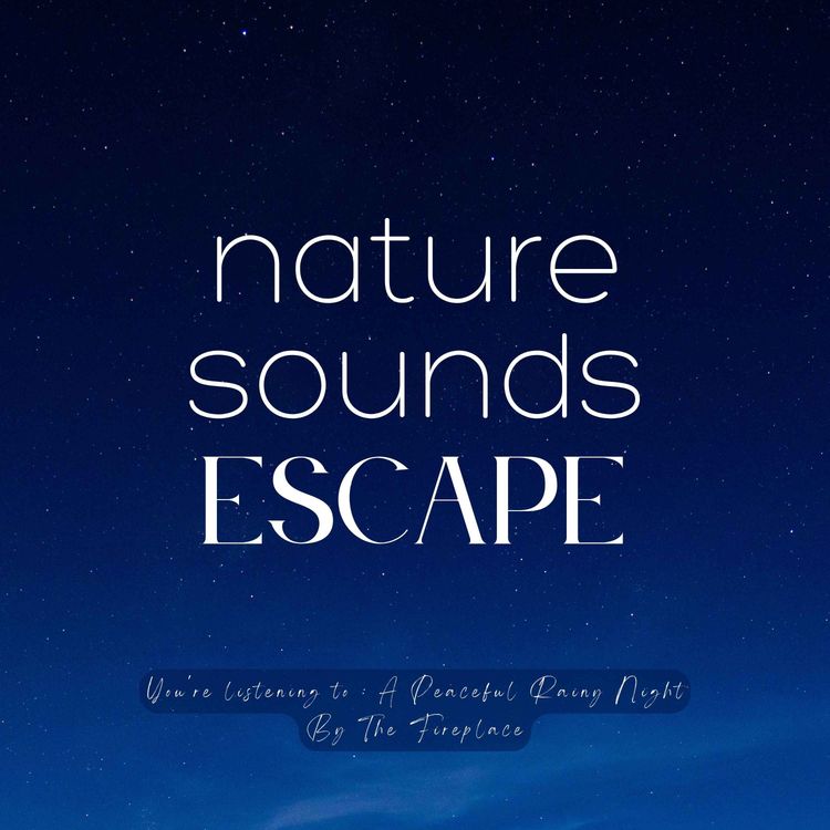 cover art for Rainy Night By The Fireplace | Relaxing Nature Sounds For Sleep, Meditation, Relaxation, Studying Or Focus | Sleep Music, Sleep Sounds, Owl, Study Music, Zen, Sleep Fast, White Noise, Música Relajante Para Dormir