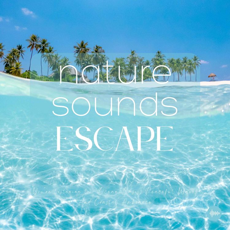 cover art for Ocean Oasis, Peaceful Waves & Coastal Ambiance | Relaxing Nature Sounds For Sleep, Meditation, Relaxation, Studying Or Focus | Sleep Music, Sleep Sounds, Ocean, Study Music, Zen, Sleep Fast, White Noise, Música Relajante Para Dormir