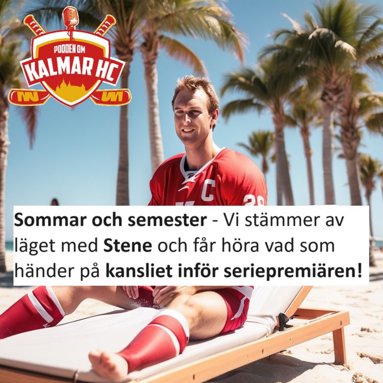 cover art for Sommar och semester - Vi stämmer av läget med Stene och får höra vad som händer på kansliet inför seriepremiären!