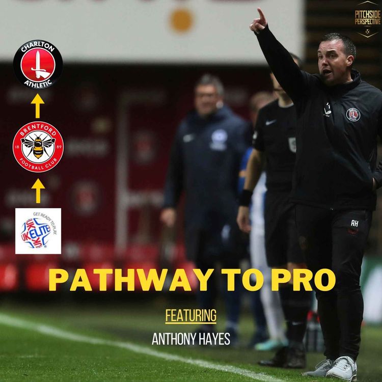 cover art for Episode 14 - Pathway to Pro ft. Anthony Hayes