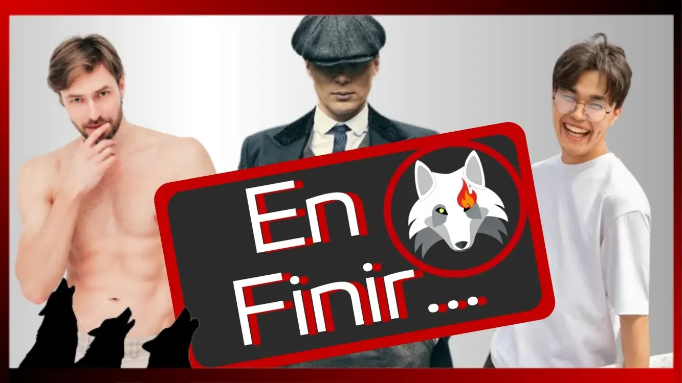 cover art for Un Sigma Détruit les Alpha / Sigma / Beta. (Ma vision du monde)