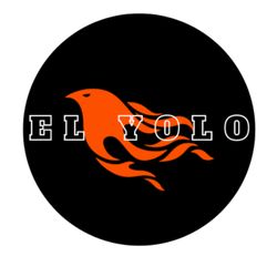 cover art for El Yolo