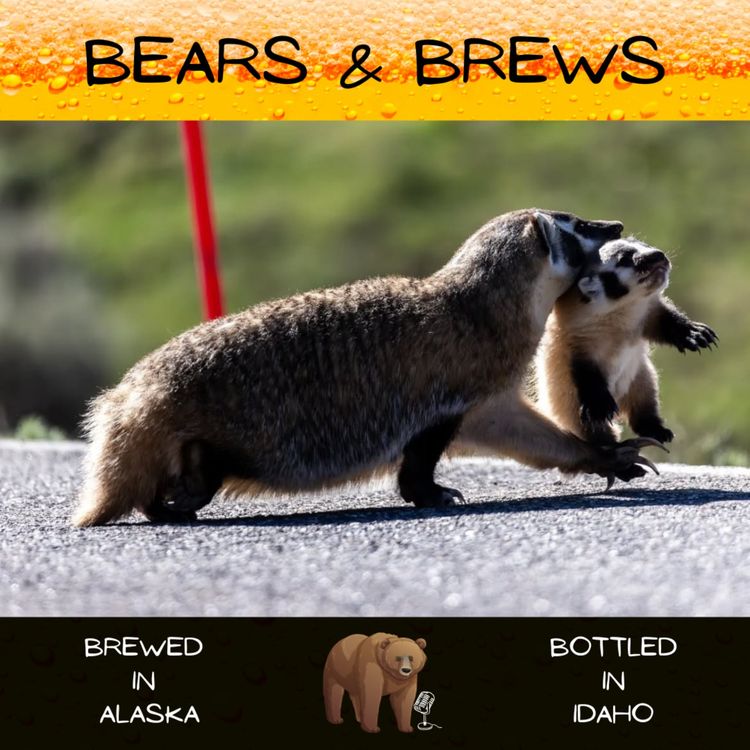 cover art for Season 2 Episode 2: A Buddy Cop Movie