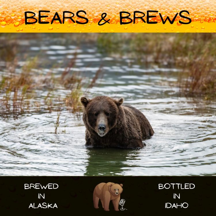 cover art for Season 2 Microbruin 1: Swimming in Grizzly Bears