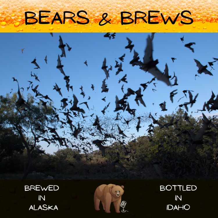 cover art for Season 2 Microbruin 5: Air Mammals