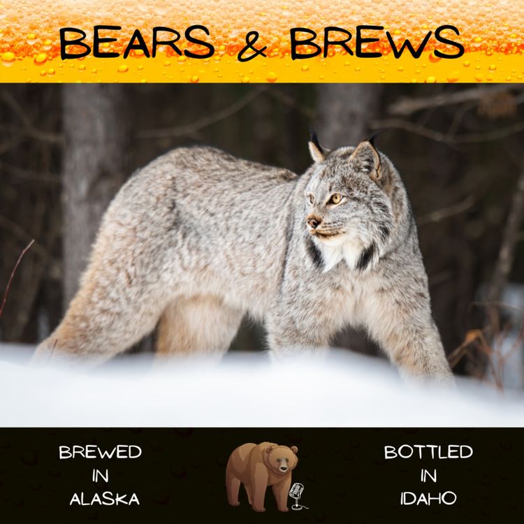 cover art for Season 2 Episode 4: Pancake Paws