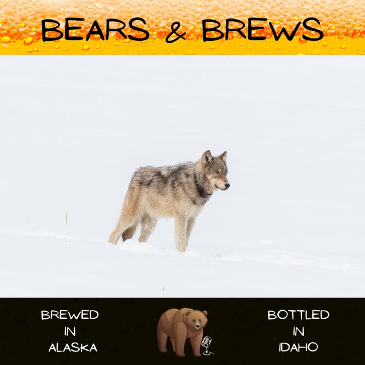 cover art for Season 2 Microbruin 3: A Game of Thrones Situation
