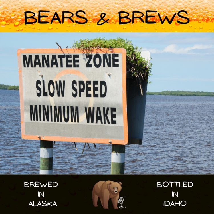 cover art for Season 2 Episode 5: Oh the Hue-Manatee