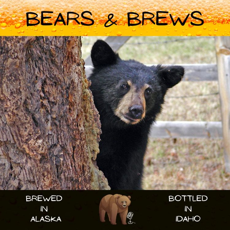 cover art for Season 2 Episode 6: Maybe You Guys Need Some Beer Facts