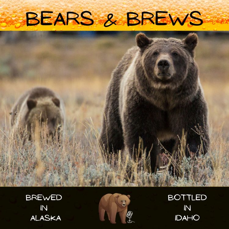 cover art for Season 2 Episode 7: This is Going Downhill Very Fast