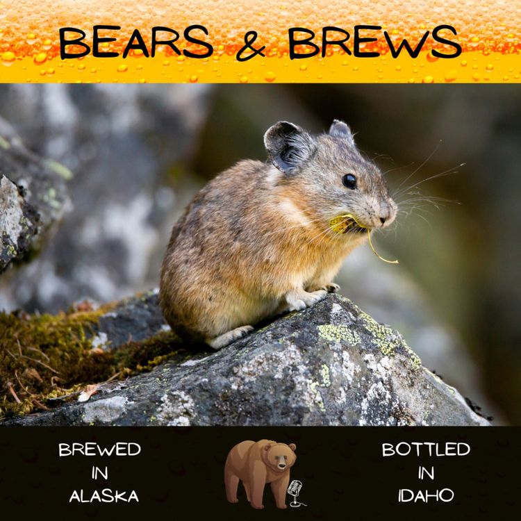 cover art for Season 3 Episode 2: Immersed in Pikas