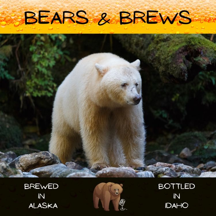 cover art for Season 3 Microbruin 1: Cohochella