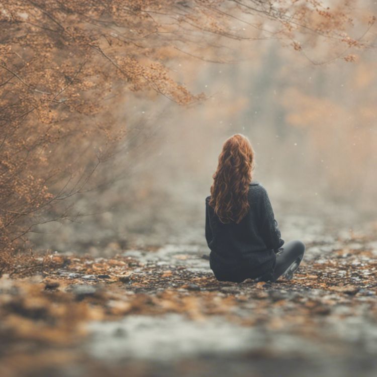 cover art for Embracing Life’s Uncertainties