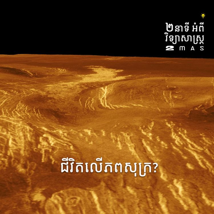 cover art for ជិវិតលើភពសុក្រ