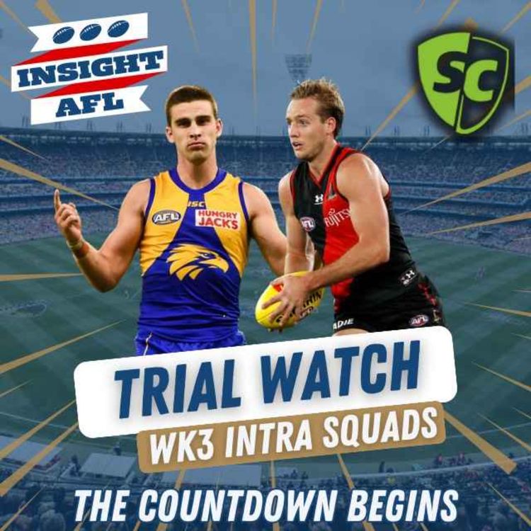 cover art for AFL Supercoach 2024 | Pre Season Match Sim and Training Notes