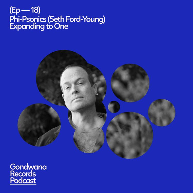 cover art for Ep. 18 Phi-Psonics (Seth Ford-Young) – Expanding To One