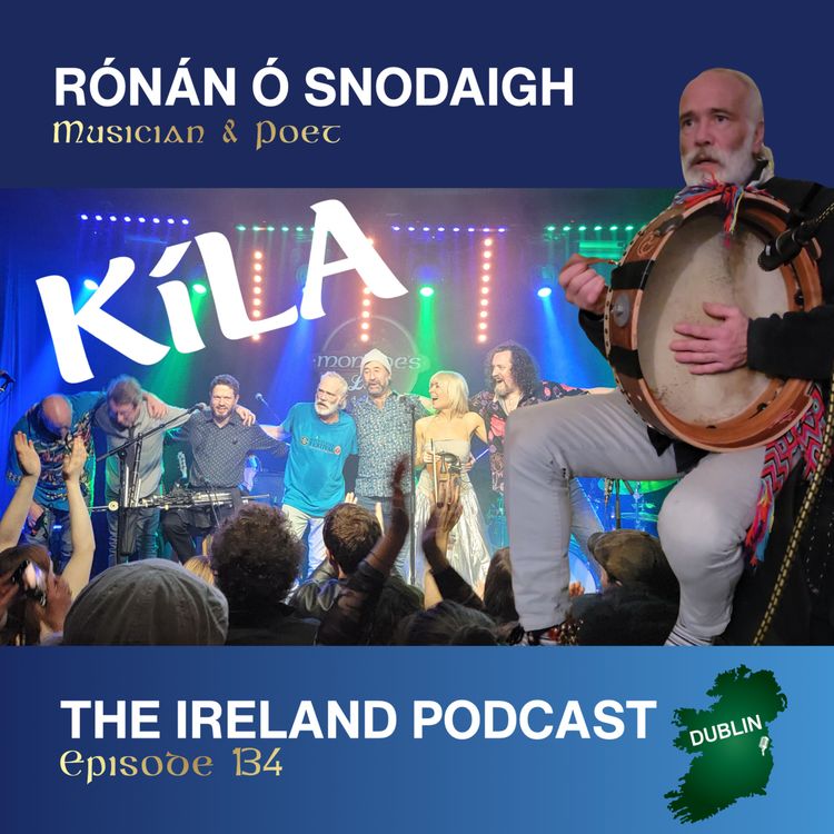 cover art for 134. Rónán Ó Snodaigh: Musician
