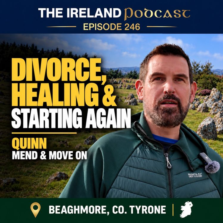 cover art for 246. Divorce, Healing & Starting Again | Quinn (Mend & Move On)