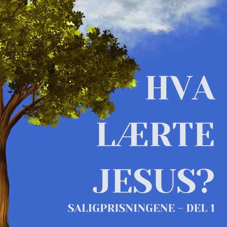 cover art for 17. Hva lærte Jesus? (Saligprisningene - del 1)
