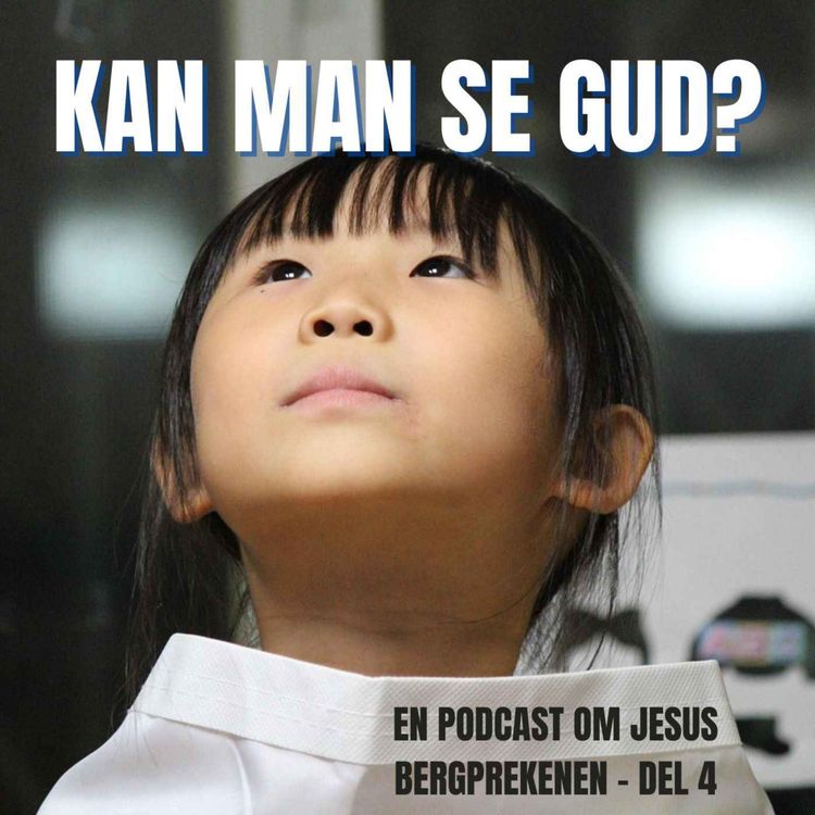 cover art for 20. Kan man se Gud? (Bergprekenen, del 4)