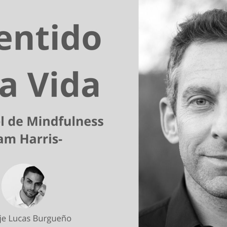 cover art for #168 El Sentido de la Vida y Mindfulness - Sam Harris en español doblaje Lucas Burgueño