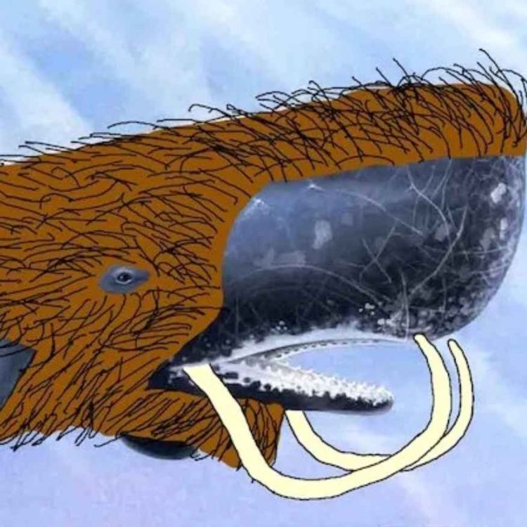 cover art for Creatures of Dune