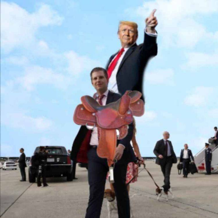 cover art for Mentats of Dune