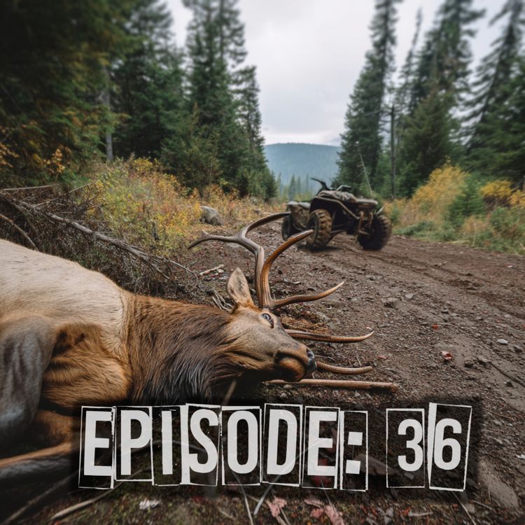 cover art for Mountain Mishap