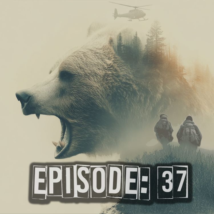 cover art for Bear in the Grass