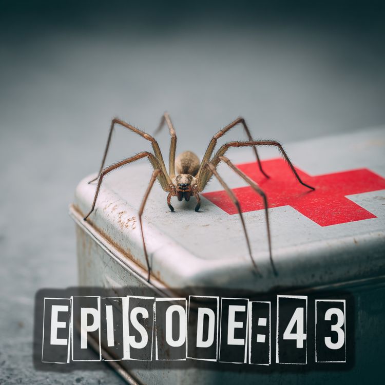cover art for Spider Bite