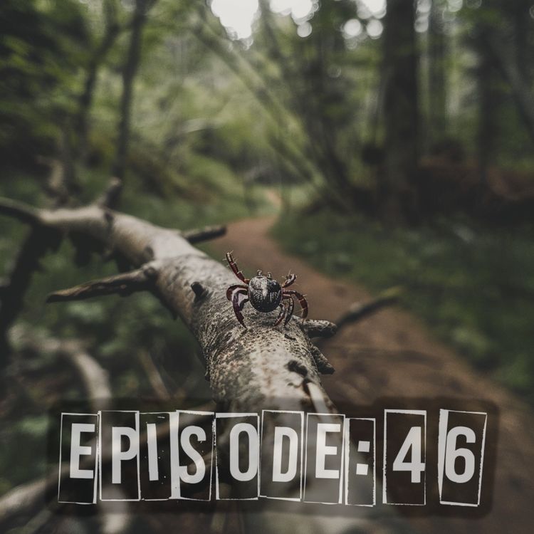 cover art for Lost in the System