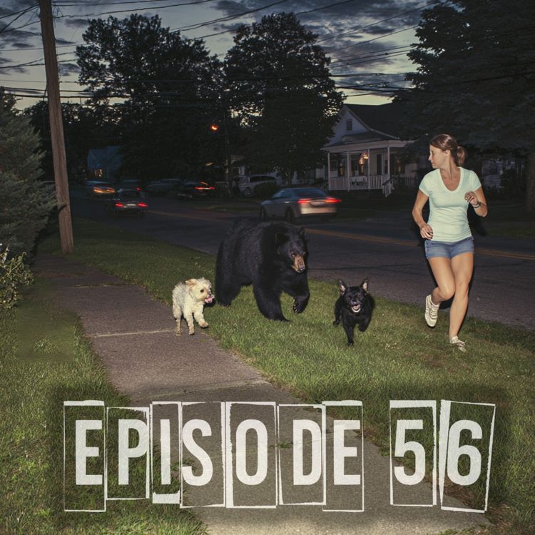 cover art for The Dog and the Bear